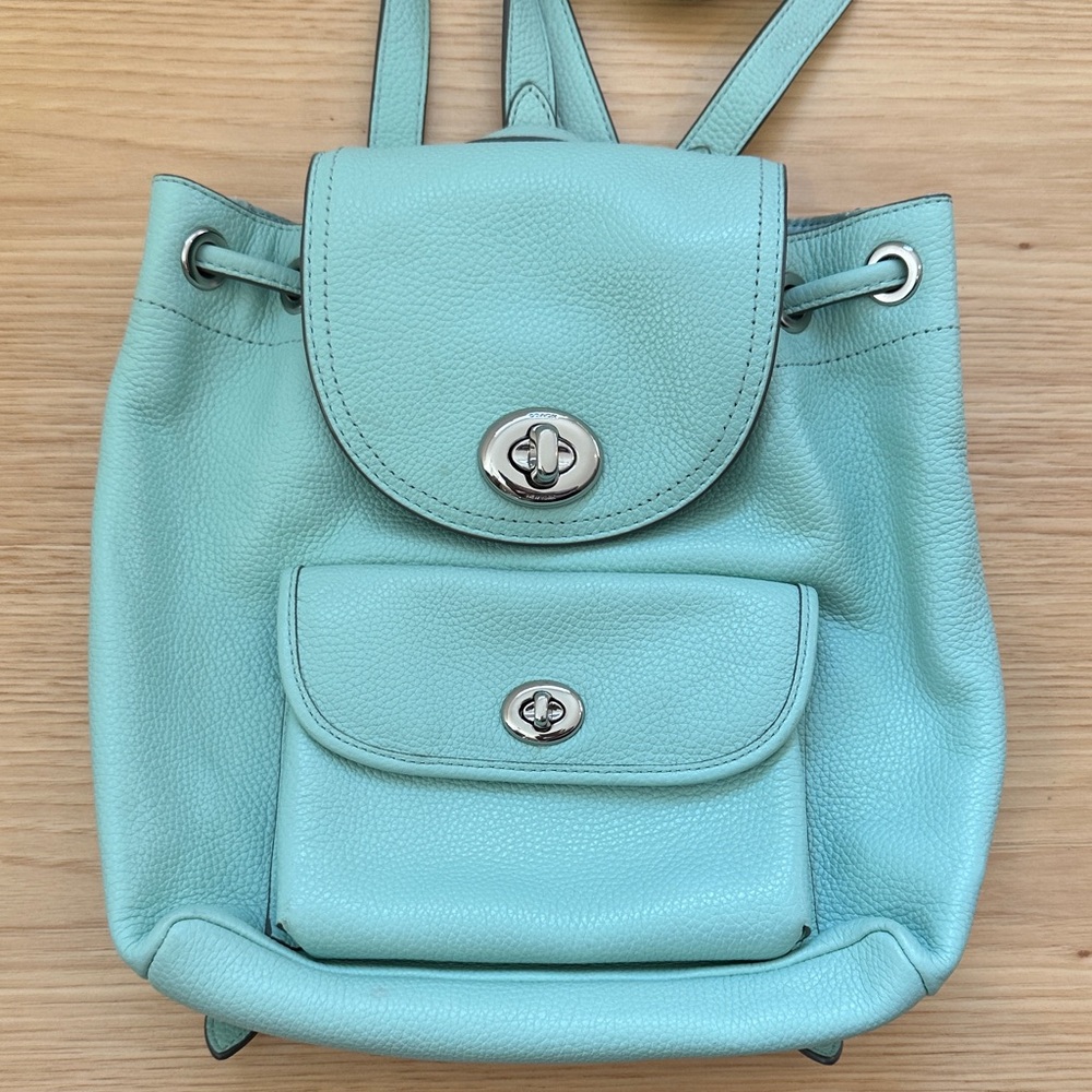 Coach Leather Mini Drawstring Backpack in Mint - image 1